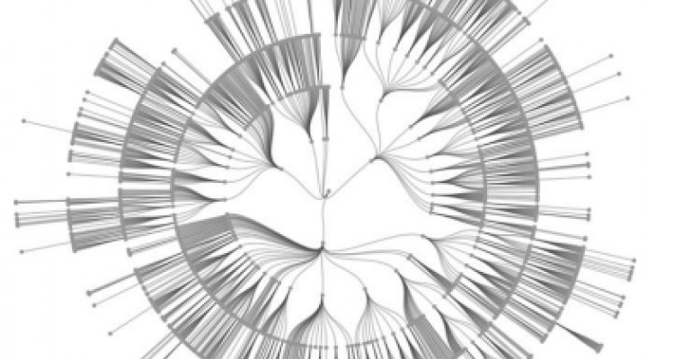 Automated Learning of Hungarian Morphology for Inflection Generation and Morphological Analysis