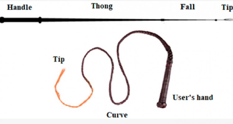 Trajectory optimization of industrial robot arms using a newly elaborated “Whip-lashing” method