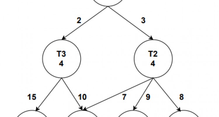 Execution Time Reduction in Function Oriented Scientific Workflows